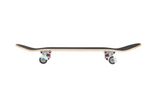 Element Skateboards Popsicle Standard Complete Skateboard – 31” Grey