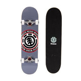 Element Skateboards Popsicle Standard Complete Skateboard – 31” Grey